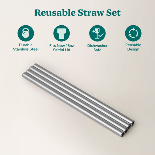 saltini-straw-set-u0 4PK_SaltiniStraws_SS-2.jpg