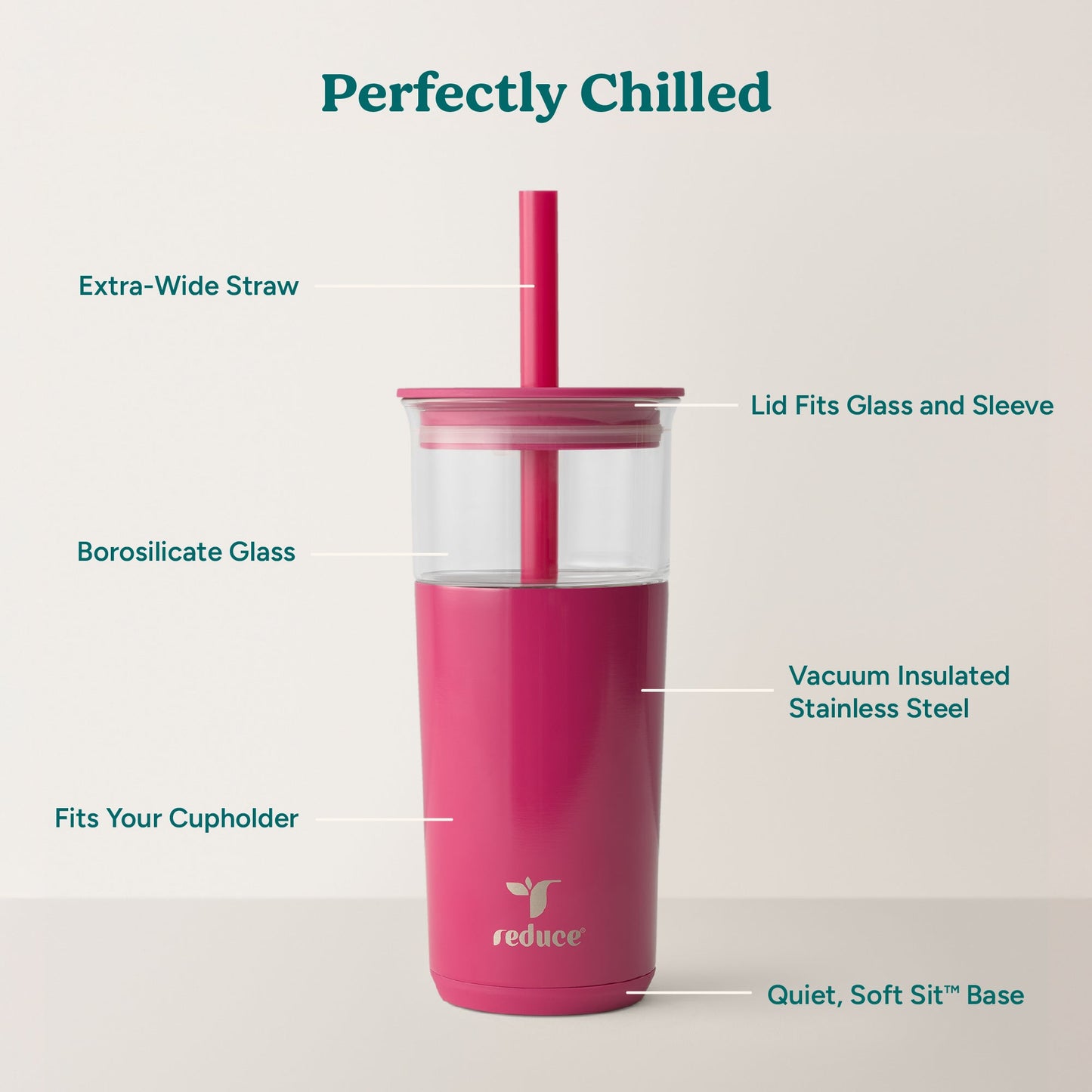 aspen-20-oz-d0 Aspen_Dragonfruit_PDP_Infographic2.jpg