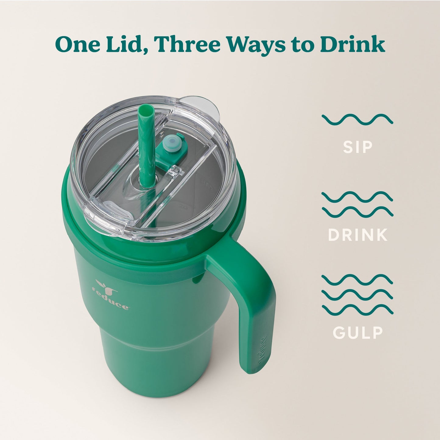 cold1-40-oz-c1 Cold1_40oz_PalmLeaf_Infographic_3.jpg