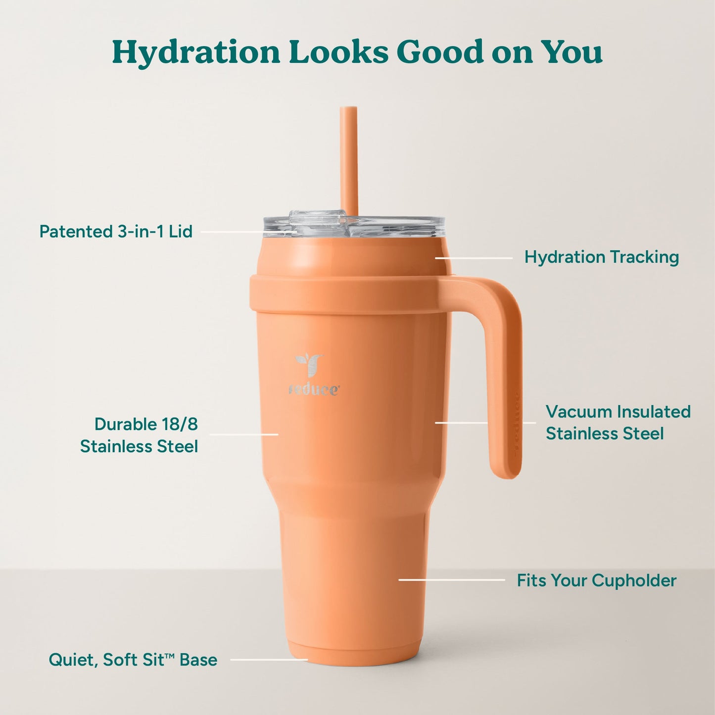 cold1-40-oz-c1 Cold1_40oz_Papaya_Infographic_2.jpg