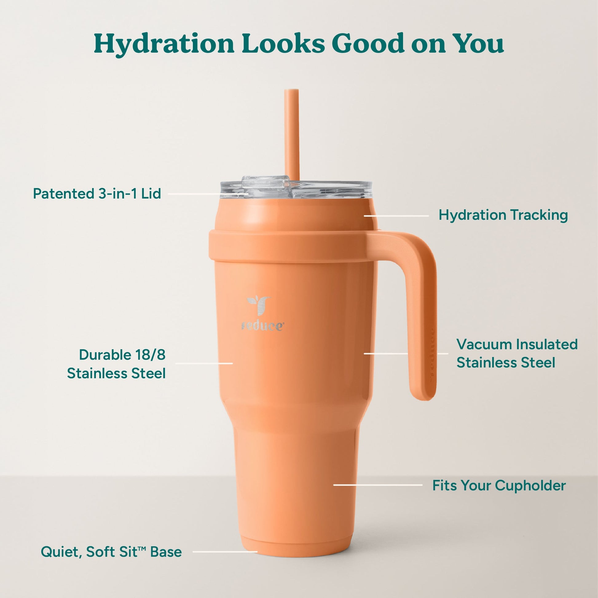 cold1-40-oz-c1 Cold1_40oz_Papaya_Infographic_2.jpg