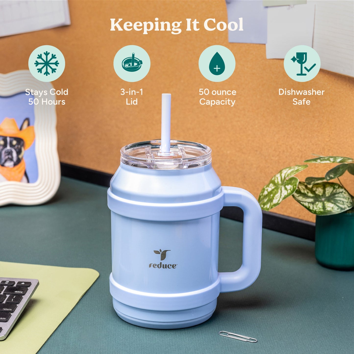 cold1-desktop-50-oz-z2 Cold1_50oz_Desktop_LilacBud_Infographic_1.jpg